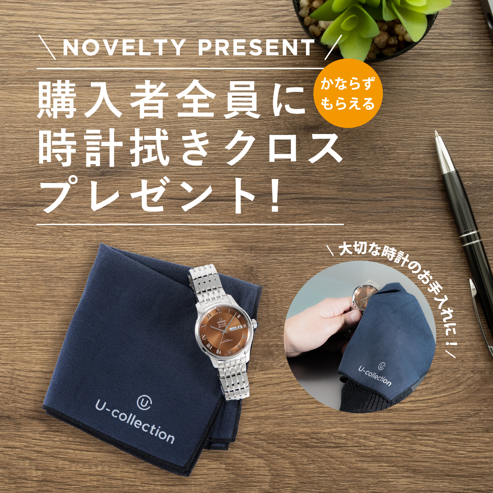 購入者全員プレゼント