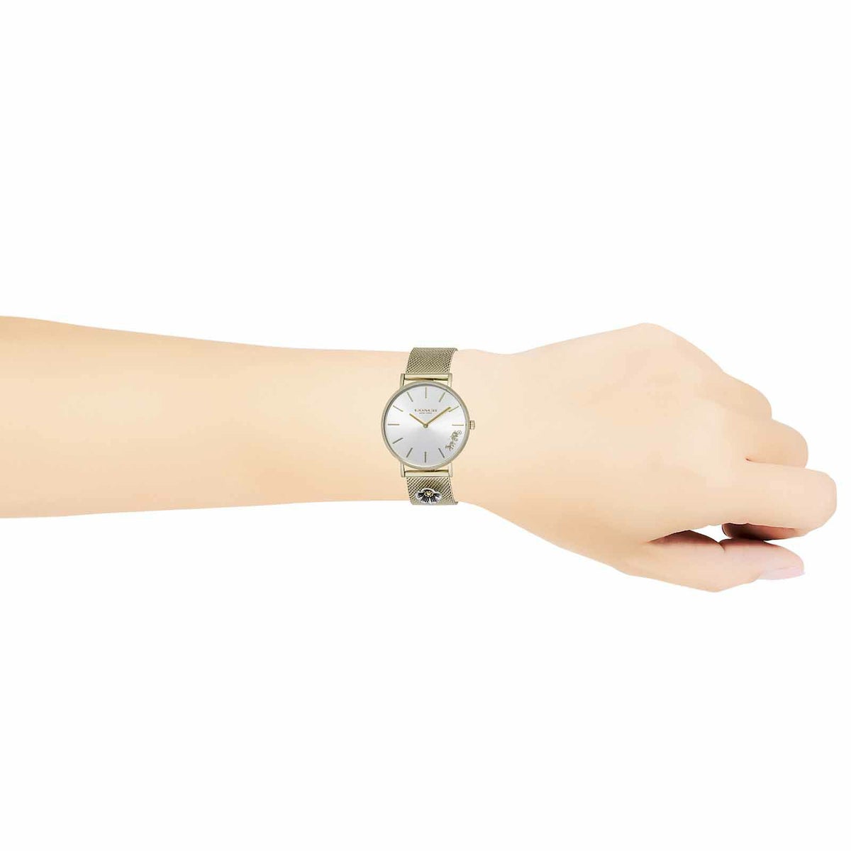 COACH コーチ ペリー / 14503337