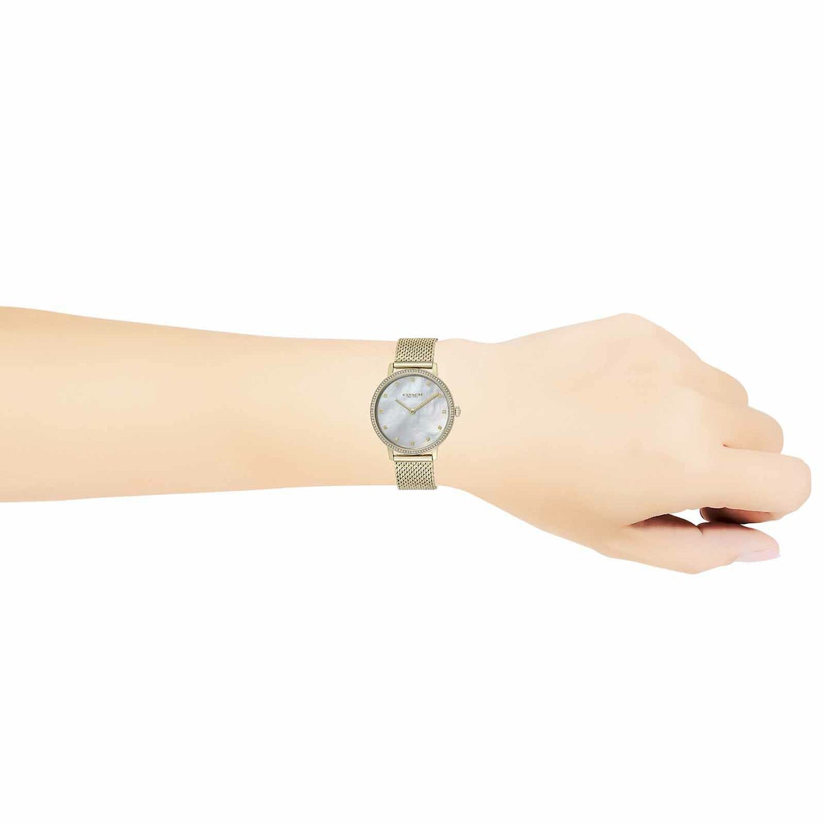 COACH コーチ オードリー / 14503359