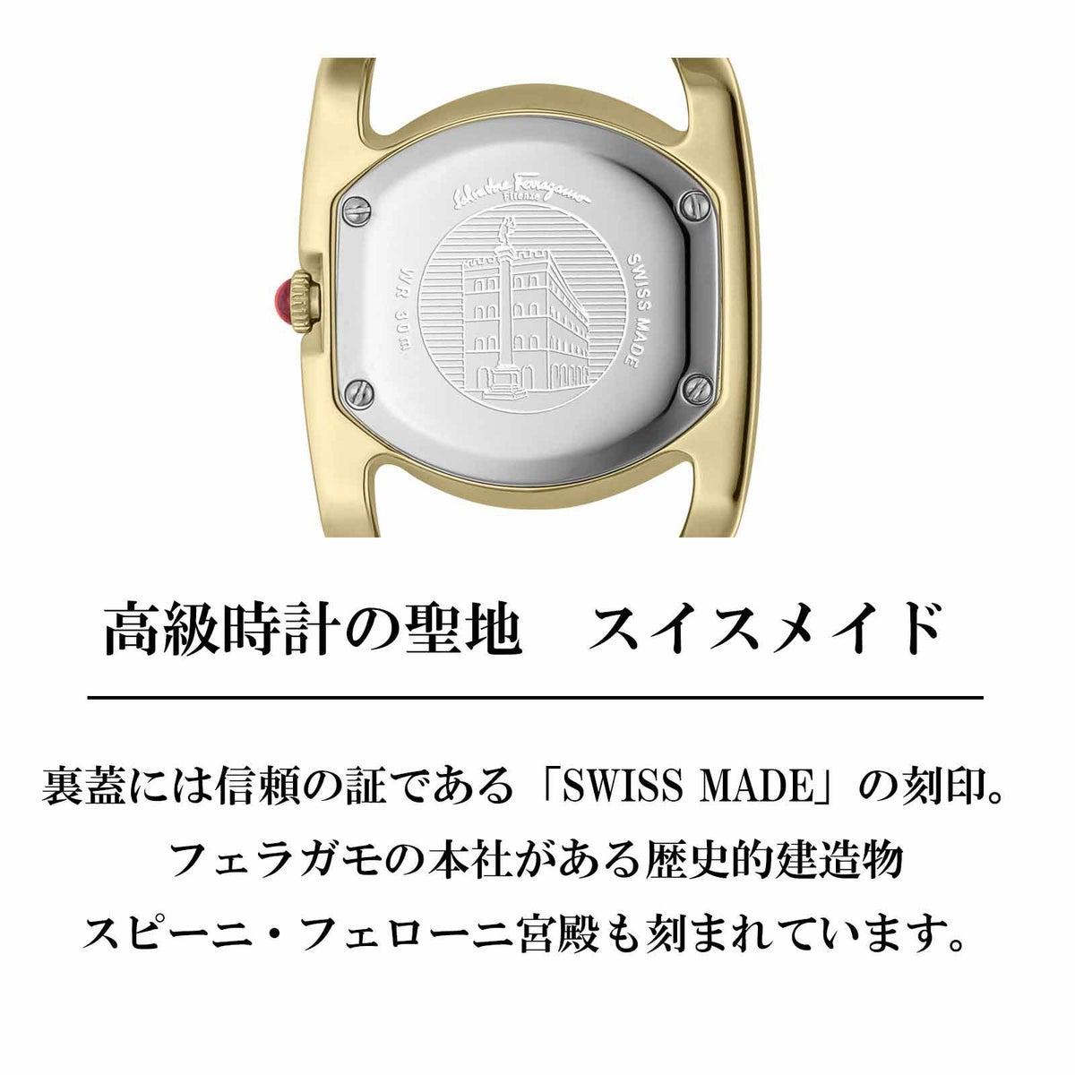 Ferragamo フェラガモ ヴァラ / SFEL00419