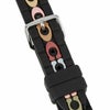 COACH コーチ アップルウォッチ変えベルト / 14700100