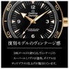 OMEGA オメガ シーマスター / 233.20.41.21.01.001