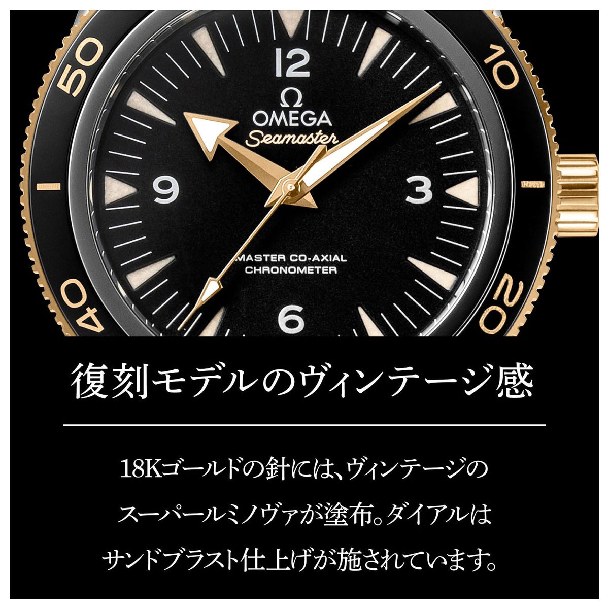 OMEGA オメガ シーマスター / 233.20.41.21.01.001