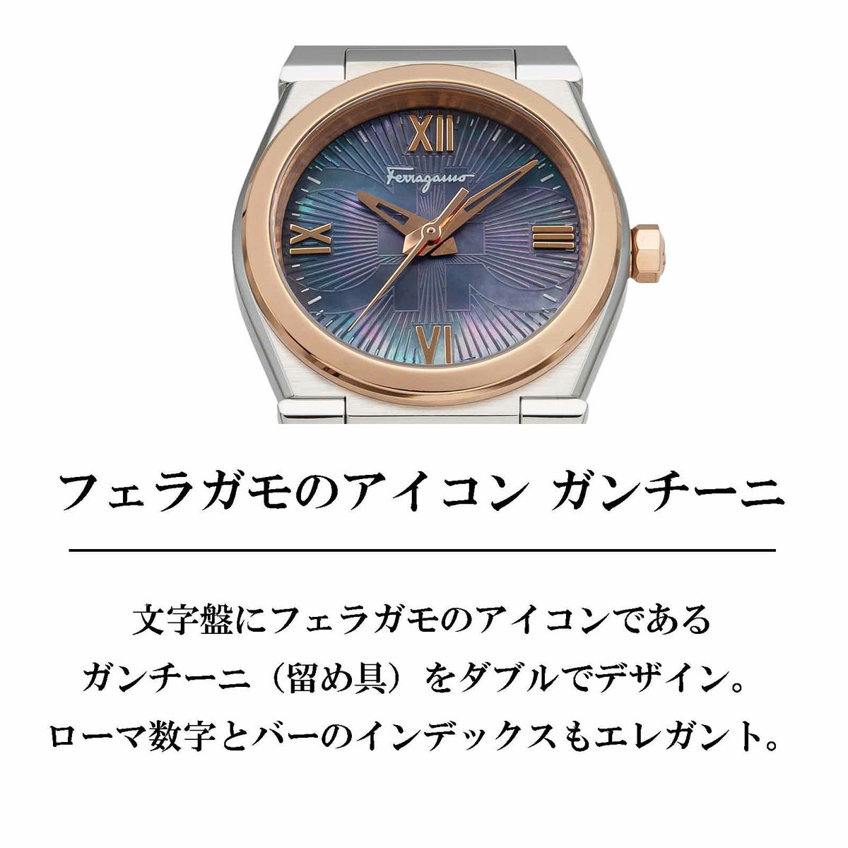 Ferragamo フェラガモ ベガ / SFYG00221