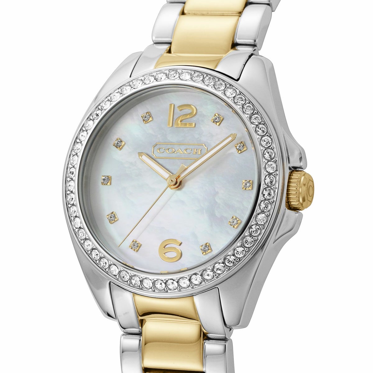 COACH コーチ TRISTEN / 14501659