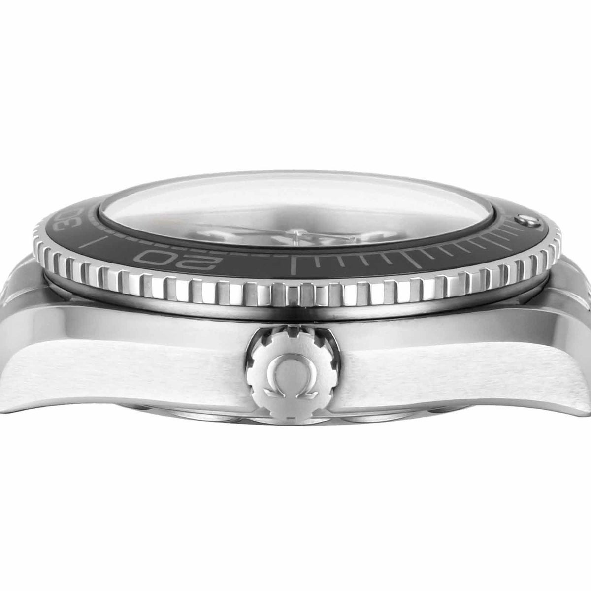 OMEGA オメガ シーマスター プラネットオーシャン / 215.30.40.20.01.001