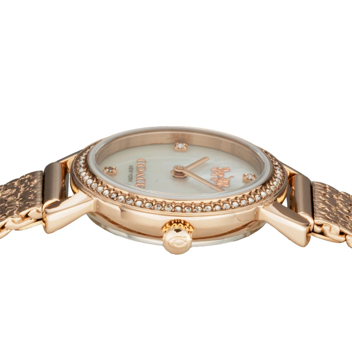 COACH コーチ オードリー / 14503372