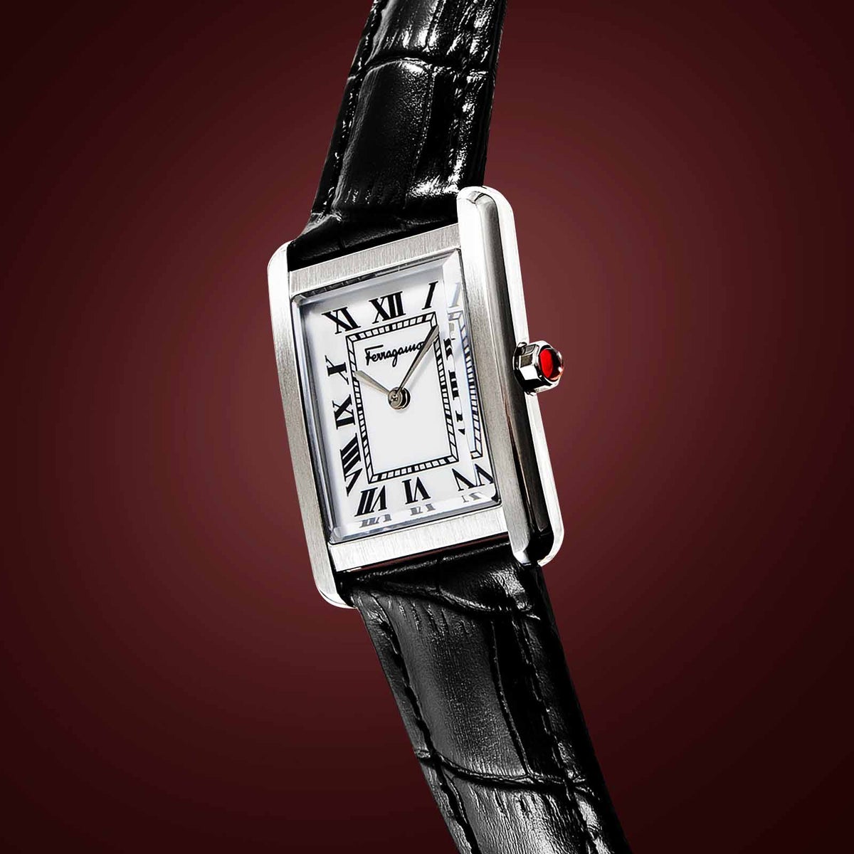 Ferragamo フェラガモ Portrait Lady / SFDS00725