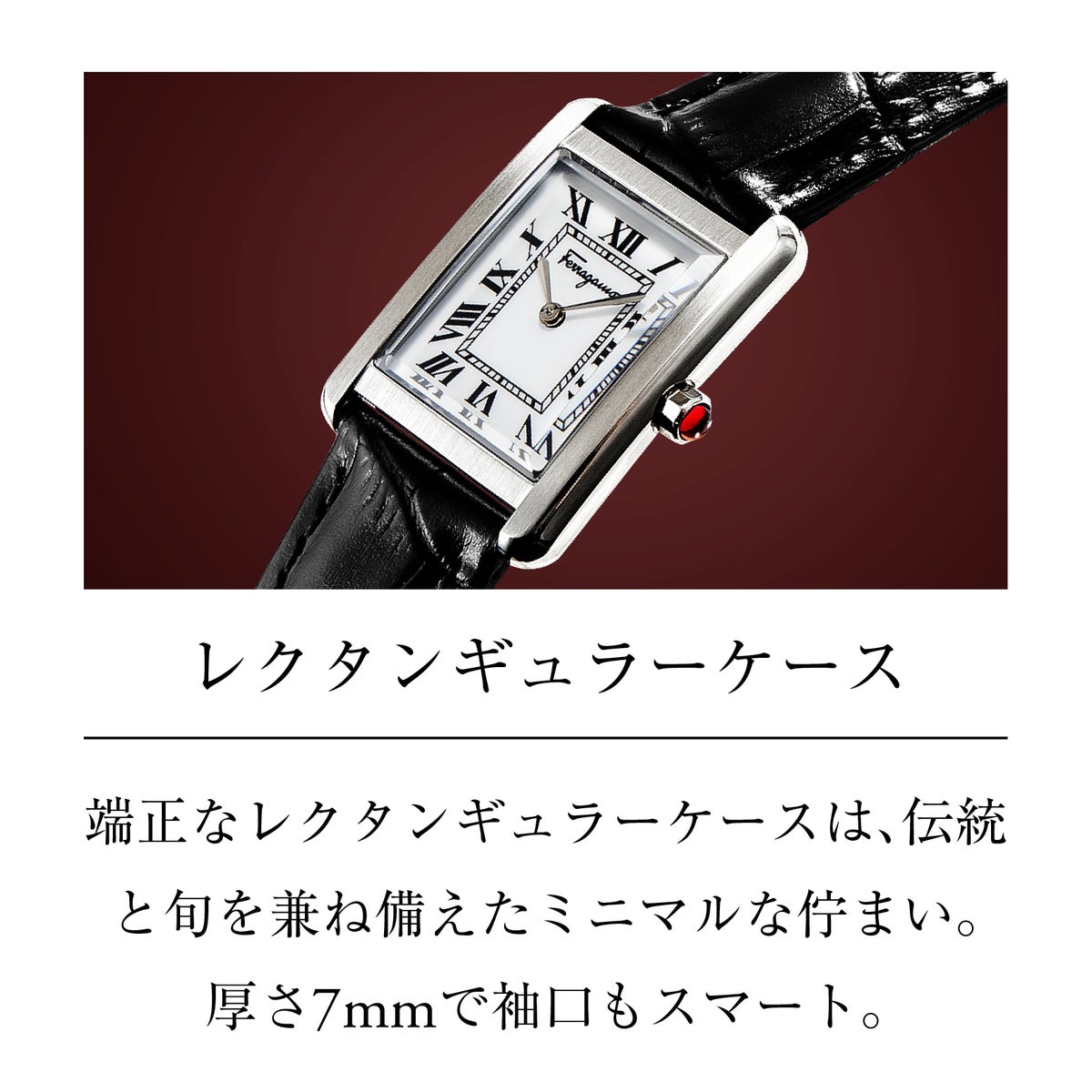 Ferragamo フェラガモ Portrait Lady / SFDS00725