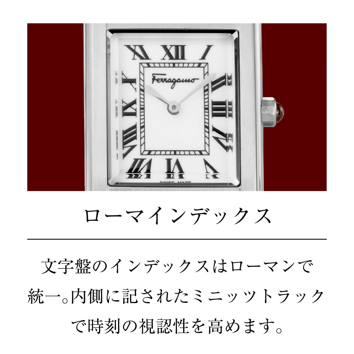 Ferragamo フェラガモ Portrait Lady / SFDS00725