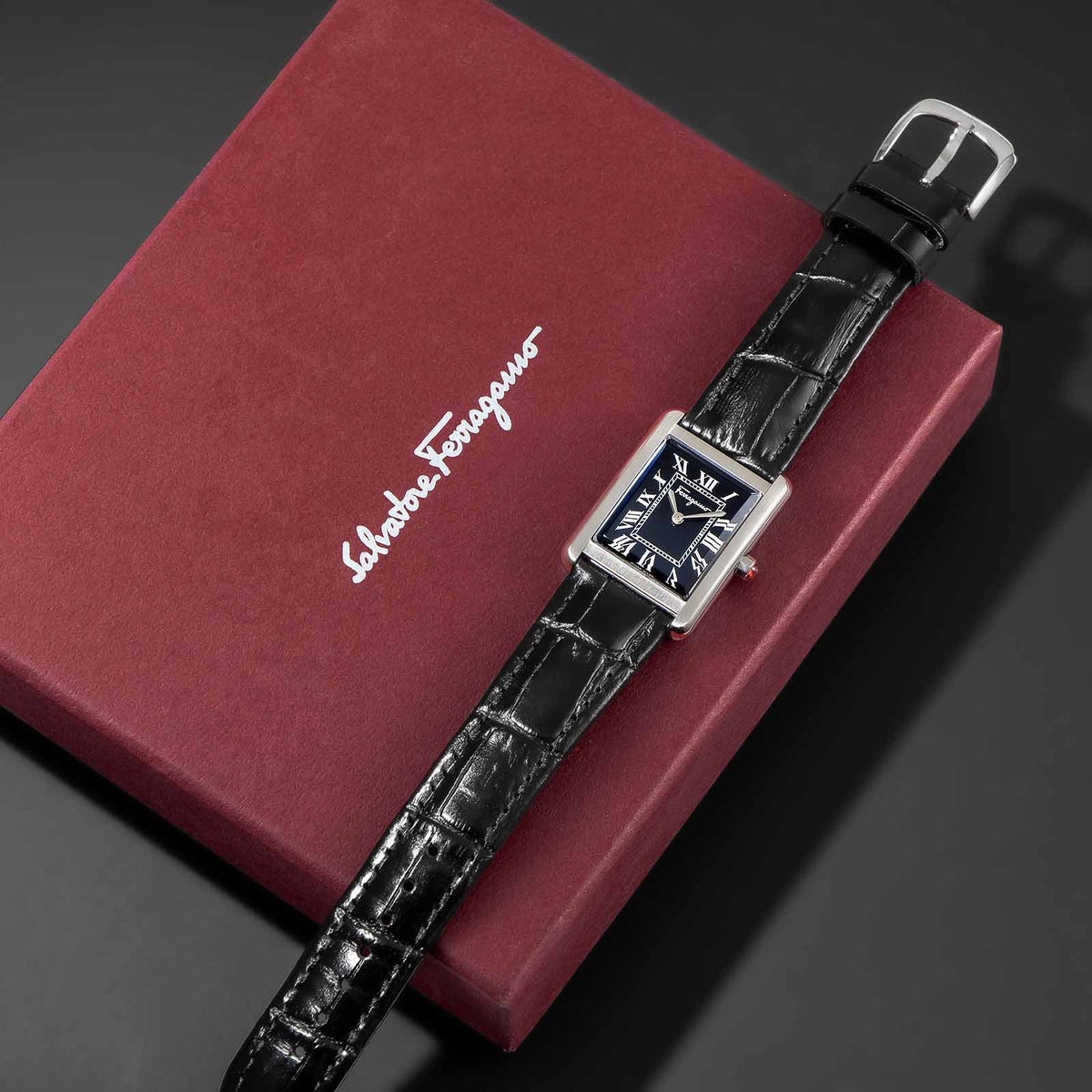 Ferragamo フェラガモ Portrait Lady / SFDS01025