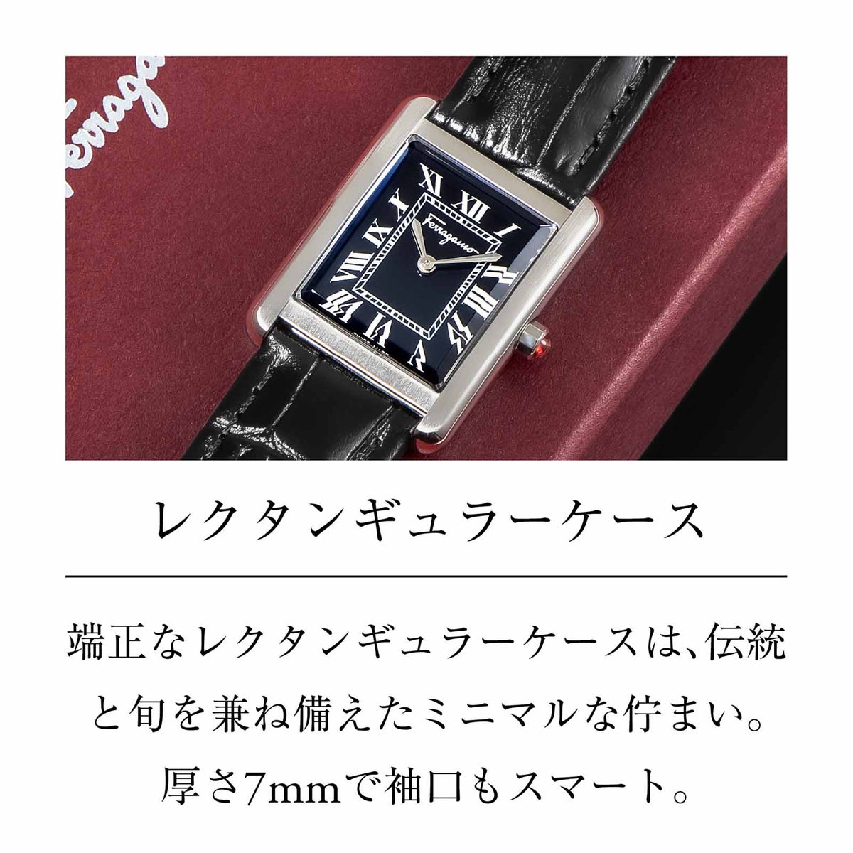 Ferragamo フェラガモ Portrait Lady / SFDS01025