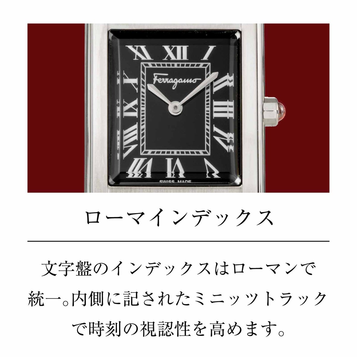 Ferragamo フェラガモ Portrait Lady / SFDS01025