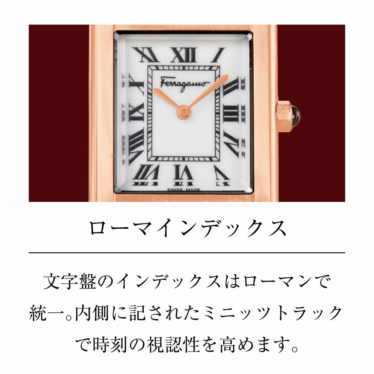 Ferragamo フェラガモ Portrait Lady / SFDS01225